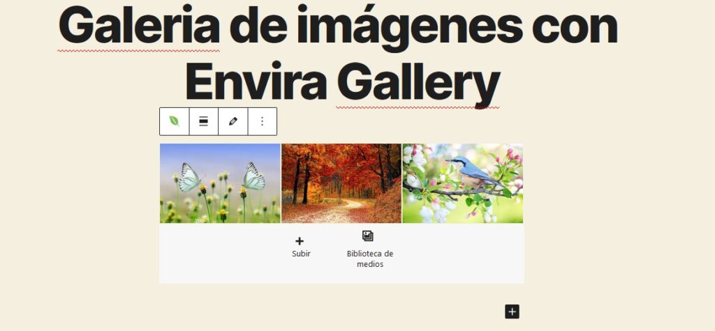 galeria de imagenes envira gallery wordpress