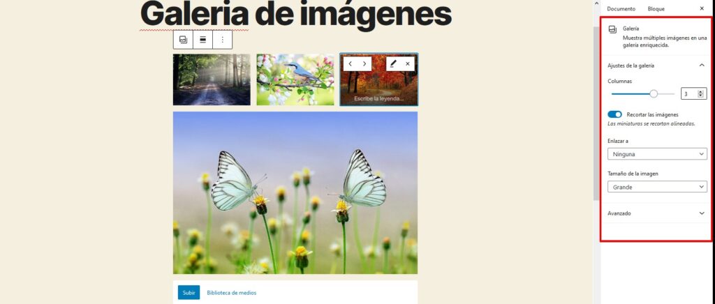 columnas de la galeria de imagenes wordpress