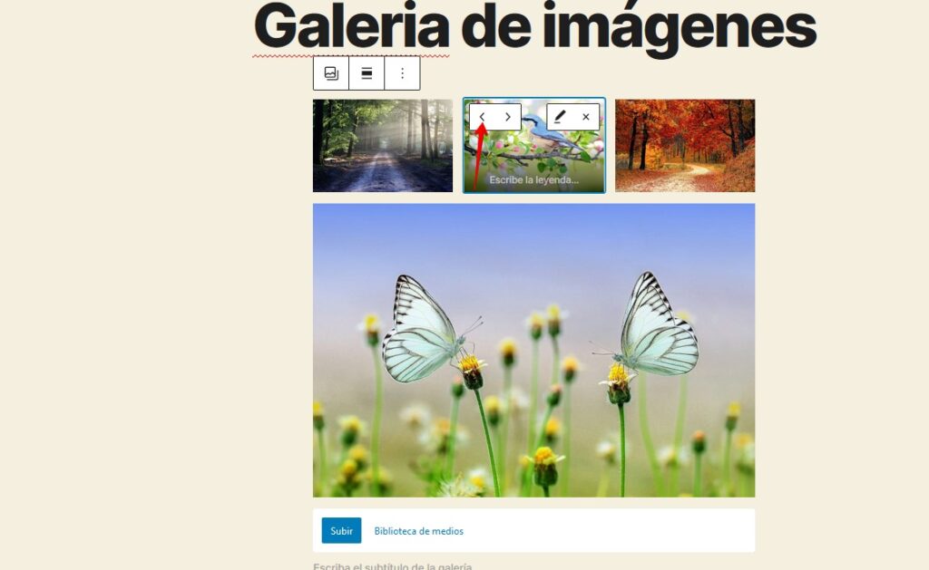 cambiar de ubicacion imagenes en galeria wordpress