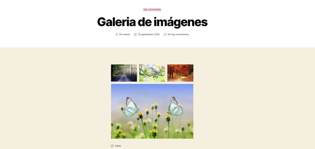 vista previa galeria de imagenes wordpress