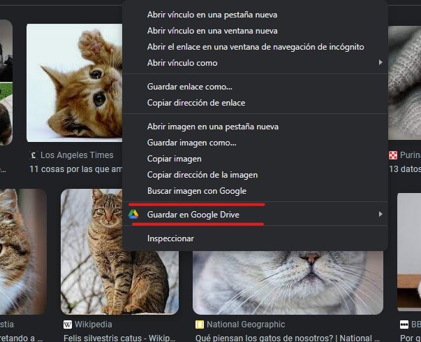 guardar imagenes en google drive